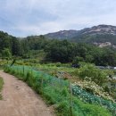 준석농장 이미지