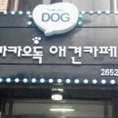 루이비똥 개 애견샵 이미지