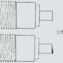 대한부란자 이미지