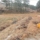 밤잣골천 이미지