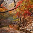 6952 | 기차로 떠나는 하루여행, 착한여행 6952의 매력