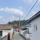 강릉제일고(버스정류장) 이미지