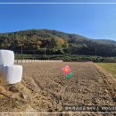 진흥 부동산중개사무소 이미지