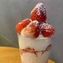 요거프레소오송