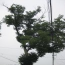 후산리 마을회관 이미지