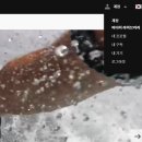 클라우드 PC | 고프로 클라우드 PC 접속 방법 및 후기