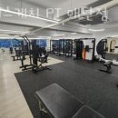 바디스케치