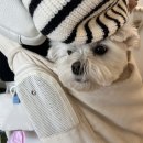 제주개과점 이미지