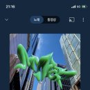 메이 (May) 이미지