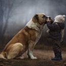 천사의 아침 이미지