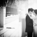 피오나 이미지
