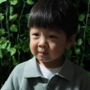 차카스튜디오