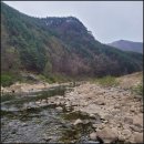 정선파인케어빌 이미지