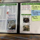 영동수산 | 동탄 영동수산 회 후기 | 대광어·대참돔·대방어 SET B 먹고 온 날