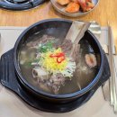 국원대로 | 충주시청맛집 어썸쭈꾸미 충주본점 왕갈비탕 파스타 점심식사 후기