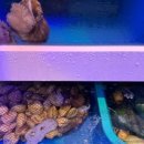 바다수퍼해물천하조개구이찜 화천점 이미지