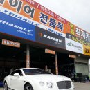 타이어우즈 이미지