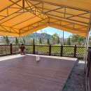 꽁이네 | [애견 캠핑] 애견을 위한 캠핑장,임실 오수의견 국민여가 캠핑장 만족한 후기