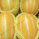 금사농장 이미지