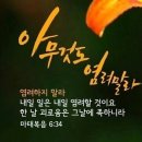 샬롬 Daum카페
