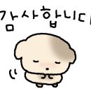 자담치킨 수원신동점