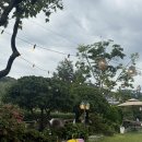 형제가든 | 부산 기장 철마 소고기맛집 "형제가든" 프라이빗룸 방갈로 추천 환갑 칠순 모임장소 내돈내산