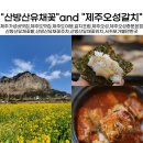 오성농원 | [공지] 제주여행 2일차 산방산유채꽃밭,제주오성 갈치조림 중문본점 솔직후기