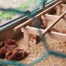 백운농장(2) 이미지