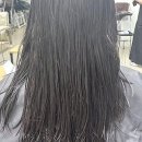 아우치헤어(안산선부점) 네이버블로그