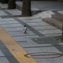 동해도 광화문