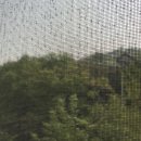 복불복분식 이미지