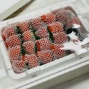 한열농장 이미지