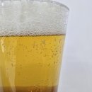 GS25 평택현신점 | GS25 데이지에일 지드래곤 맥주 내돈내산 후기｜디자인부터 맛까지 솔직 리뷰