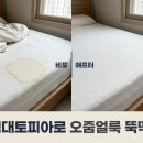 142 | 김해 봉황역 e편한세상 침대 오줌 자국 얼룩 제거 추천 후기