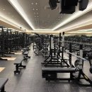 시그널짐 플레티넘 이미지