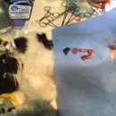 홍익동물종합병원 이미지