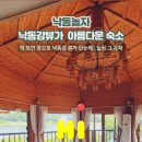 낙동놀자 이미지