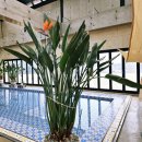 서민 | 포항 흥해 서민갈비 후기 ㅣ 포항 돼지갈비 맛집 추천