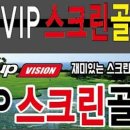VIP스크린골프 이미지