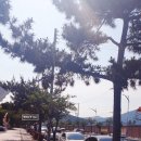 진해루해변공원(진해루옆) 이미지