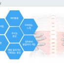 상암정형외과의원 이미지