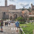 나를 위한 자유여행 계획하는법 | 이탈리아 로마여행 포로로마노 자유여행 입구 입장권 예약 셀프투어