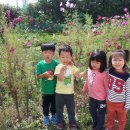 호원승리어린이집 이미지