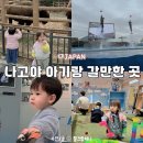 작은동물원수족관 | 나고야 아기랑 가볼만한 곳 나고야 수족관 동물원 후기