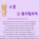 라이트샤인