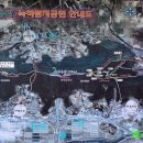 벌교여중앞 이미지