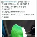 아이돌판 행복한 왕자 사건 이미지