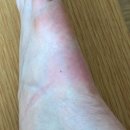 중문삼성연합의원 이미지