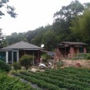 내곡농장 이미지