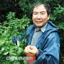 안씨농장 이미지